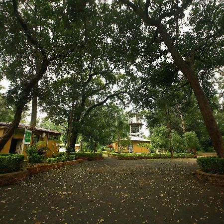 Tāla Mpt White Tiger Forest Lodge المظهر الخارجي الصورة