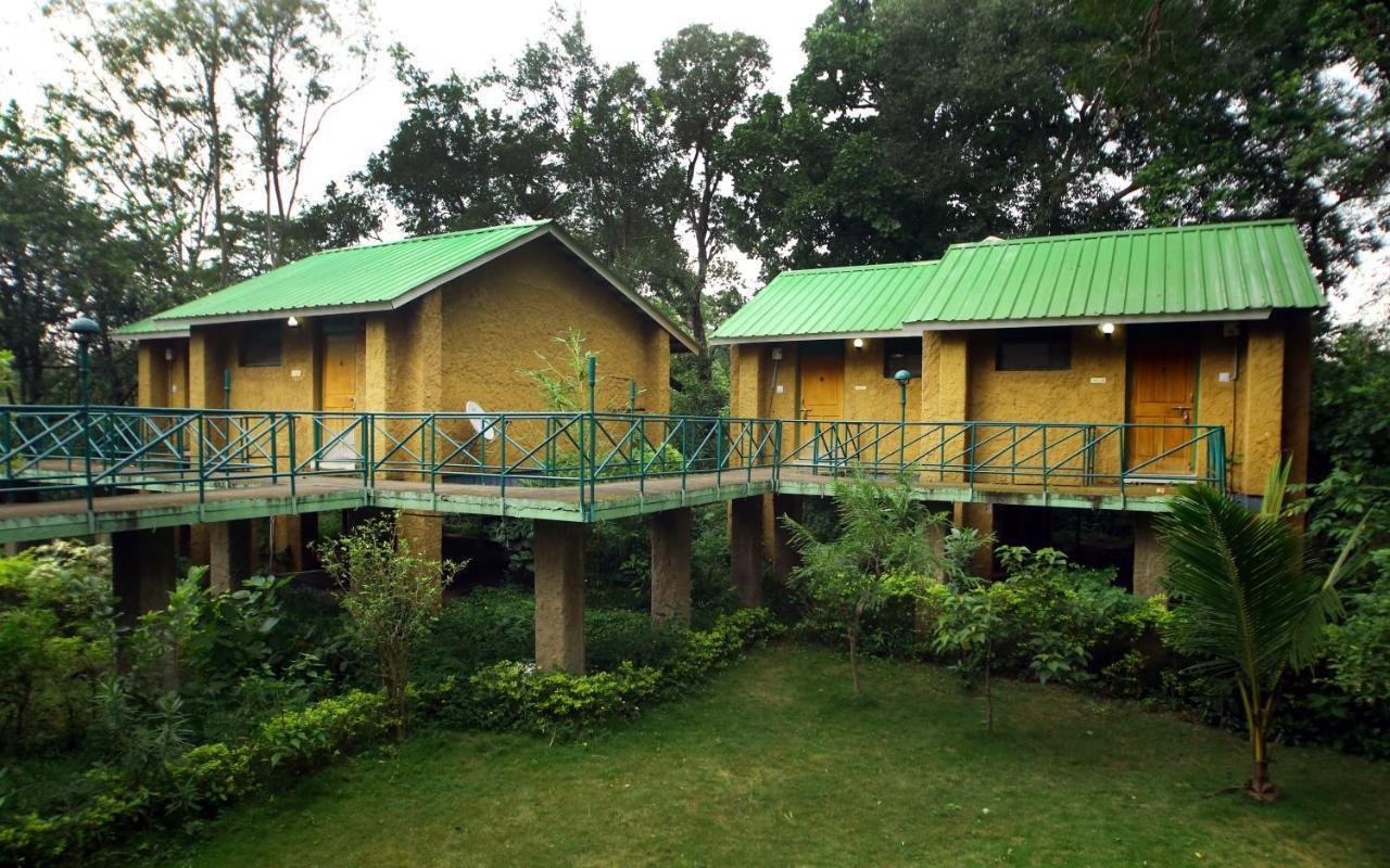 Tāla Mpt White Tiger Forest Lodge المظهر الخارجي الصورة