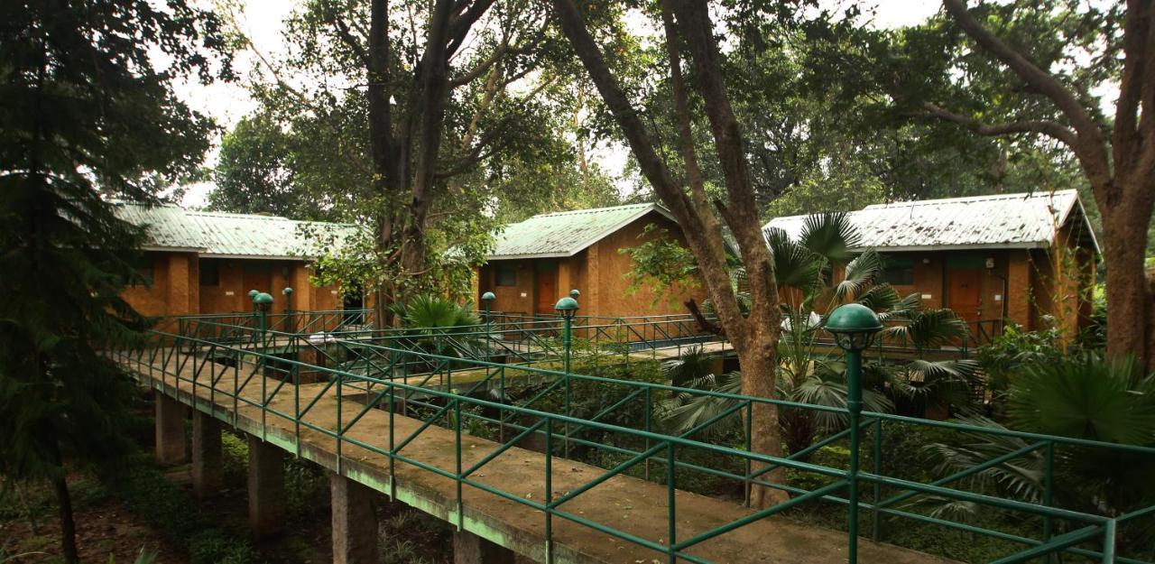 Tāla Mpt White Tiger Forest Lodge المظهر الخارجي الصورة