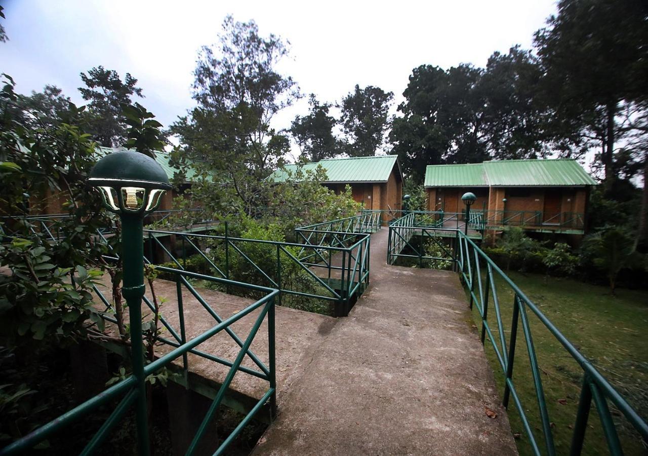 Tāla Mpt White Tiger Forest Lodge المظهر الخارجي الصورة