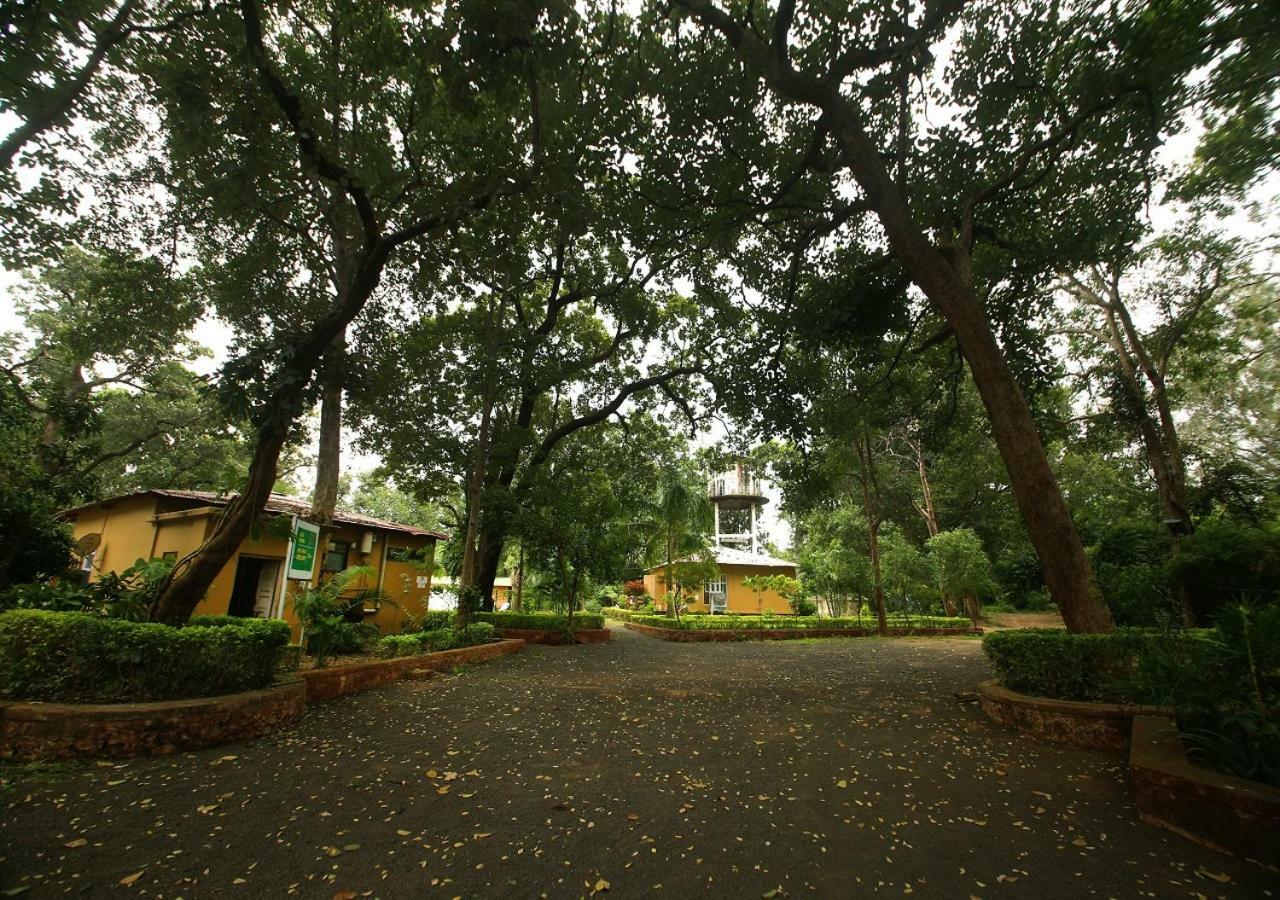 Tāla Mpt White Tiger Forest Lodge المظهر الخارجي الصورة