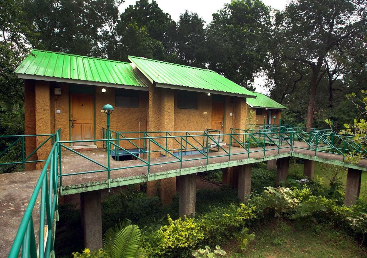 Tāla Mpt White Tiger Forest Lodge المظهر الخارجي الصورة